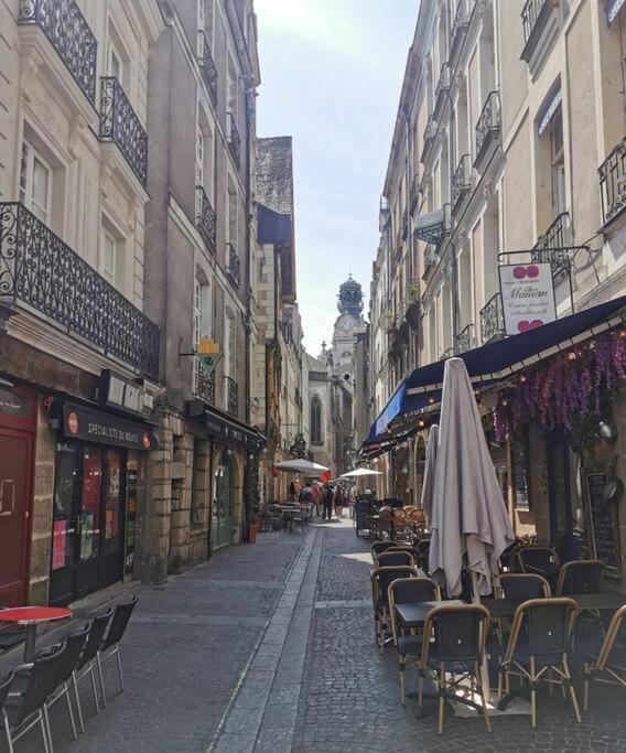 Gustave - Quartier Historique Apartment น็องต์ ภายนอก รูปภาพ